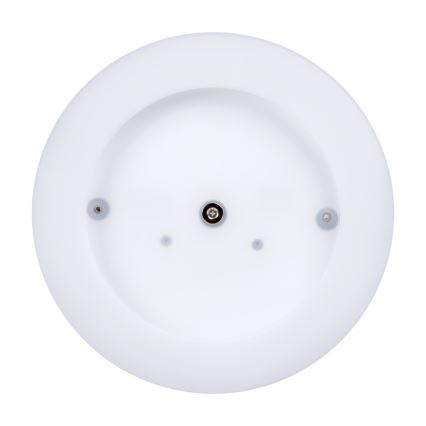LED Venkovní stropní svítidlo TURA LED/24W/230V 4000K IP65 černá