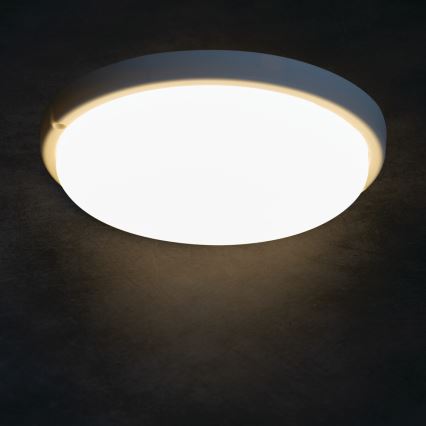 LED Koupelnové stropní svítidlo TOLU LED/18W/230V 4000K IP54 bílá