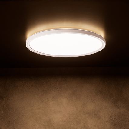 LED Stropní svítidlo AZPO LED/18,5W/230V 3000/4000/6000K pr. 29 cm IP54 bílá