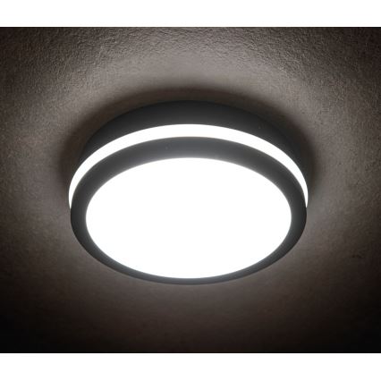 LED Venkovní svítidlo se senzorem BENO LED/18W/230V 4000K antracit IP54