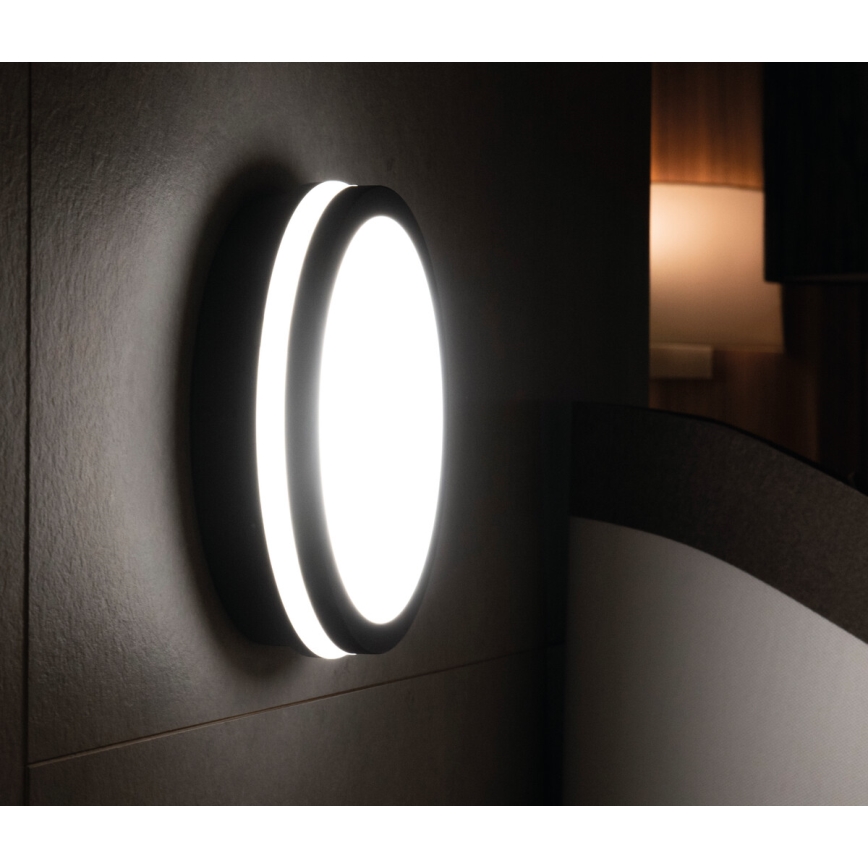 LED Venkovní svítidlo BENO LED/24W/230V 4000K antracit IP54