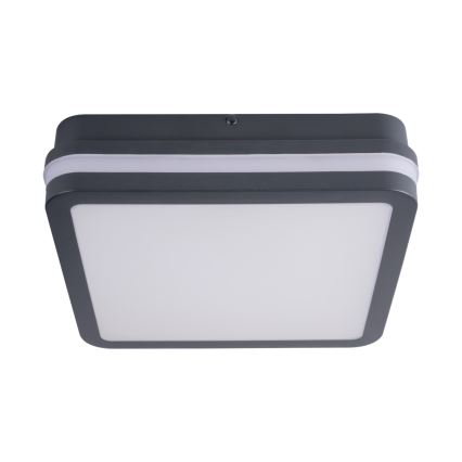 LED Venkovní svítidlo BENO LED/24W/230V 4000K antracit IP54