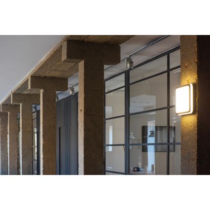LED Venkovní svítidlo BENO LED/18W/230V 3000K antracit IP54