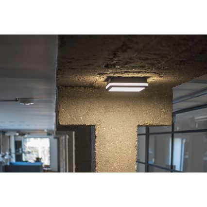 LED Venkovní svítidlo BENO LED/18W/230V 3000K antracit IP54