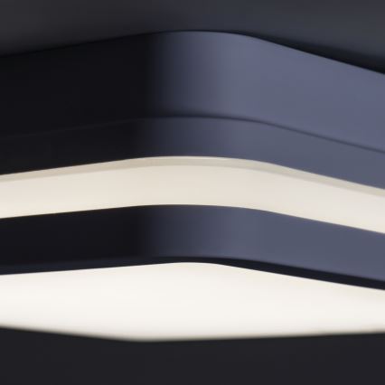 LED Venkovní svítidlo BENO LED/18W/230V 3000K antracit IP54