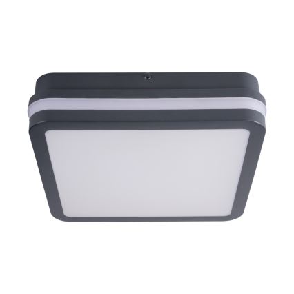 LED Venkovní svítidlo BENO LED/18W/230V 3000K antracit IP54