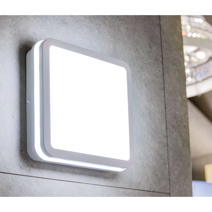 LED Venkovní svítidlo BENO LED/24W/230V 3000K bílá IP54