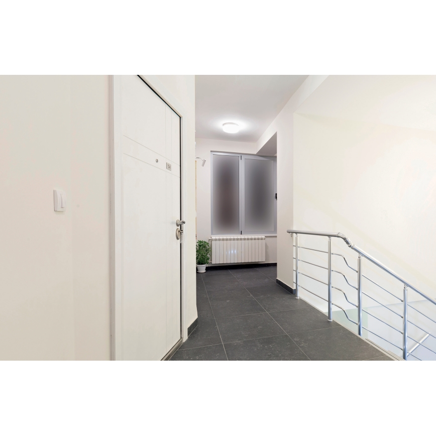 LED Koupelnové stropní svítidlo STIVI LED/24W/230V IP65
