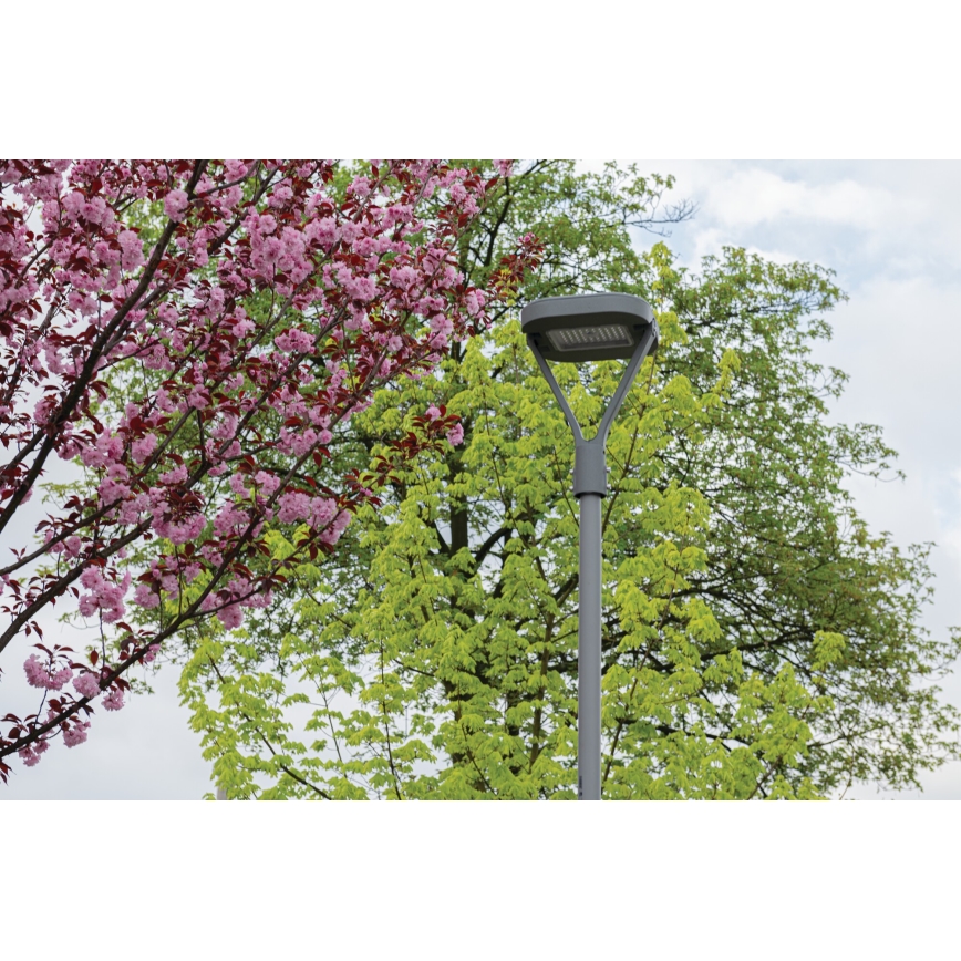 LED Pouliční lampa PARCOLI LED/30/40/50W/230V 3000/4000/6500K IP66 šedá