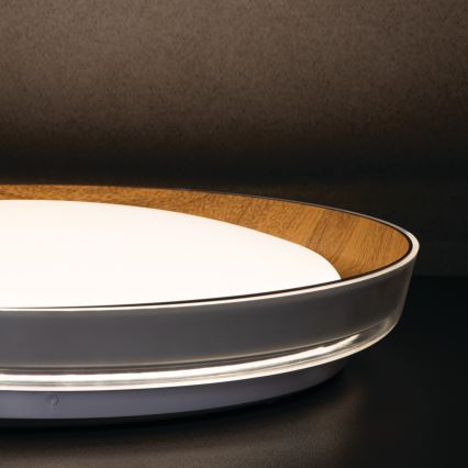 LED Stropní svítidlo NIFU LED/17,8W/230V pr. 43 cm bílá/hnědá