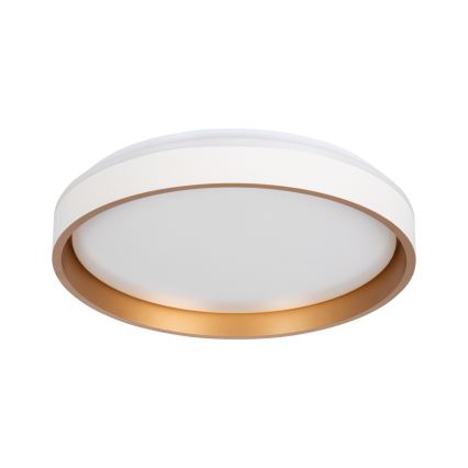 LED Stropní svítidlo SOLN LED/17,5W/230V pr. 38 cm bílá/zlatá