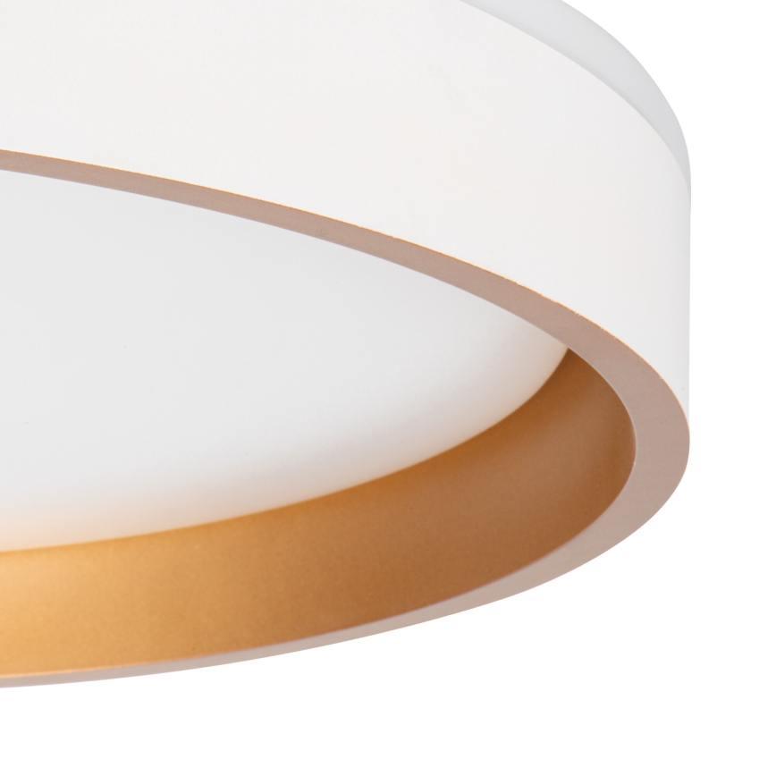 LED Stropní svítidlo SOLN LED/17,5W/230V pr. 38 cm bílá/zlatá