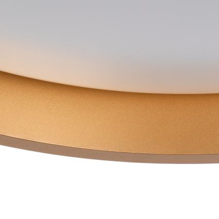 LED Stropní svítidlo SOLN LED/17,5W/230V pr. 38 cm bílá/zlatá
