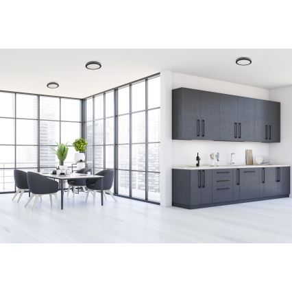 LED Venkovní stropní svítidlo BENO E LED/12W/230V 3000/4000/6500K pr. 20 cm IP65 černá