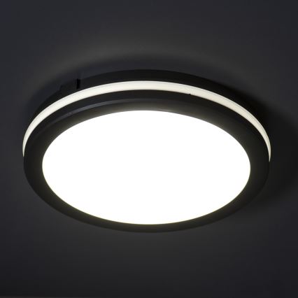LED Venkovní stropní svítidlo BENO E LED/12W/230V 3000/4000/6500K pr. 20 cm IP65 černá