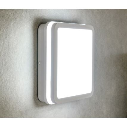 LED Venkovní stropní svítidlo BENO LED/12/18W/230V 3000/3500/4000K IP65 bílá hranatý