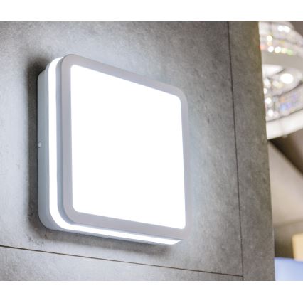 LED Venkovní stropní svítidlo BENO LED/24/30W/230V 3000/3500/4000K IP65 bílá hranatý
