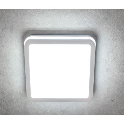 LED Venkovní stropní svítidlo BENO LED/24/30W/230V 3000/3500/4000K IP65 bílá hranatý