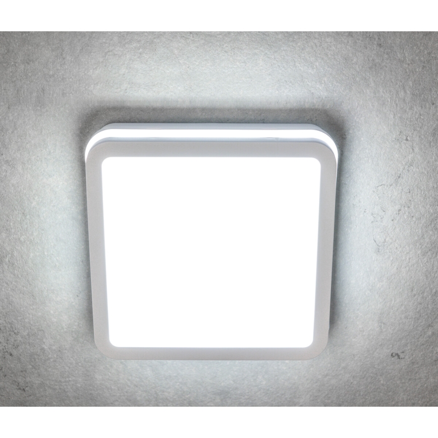 LED Venkovní stropní svítidlo BENO LED/24/30W/230V 3000/3500/4000K IP65 bílá hranatý