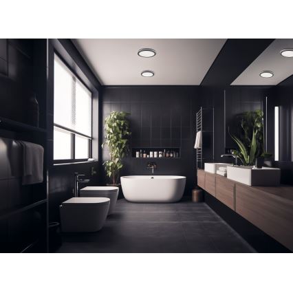 LED Venkovní stropní svítidlo BENO LED/24/30W/230V 3000/3500/4000K IP65 antracit kulatý