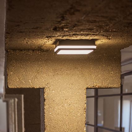 LED Venkovní stropní svítidlo BENO LED/12/18W/230V 3000/3500/4000K IP65 antracit hranatý