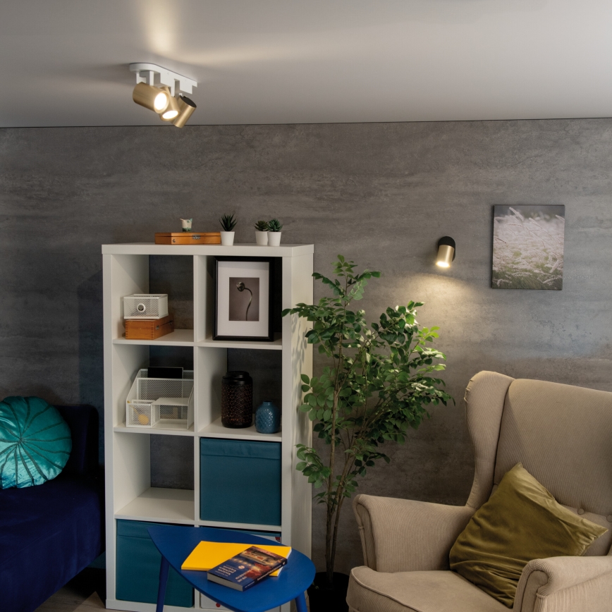 Nástěnné bodové svítidlo LAURIN 1xGU10/10W/230V mosaz/černá