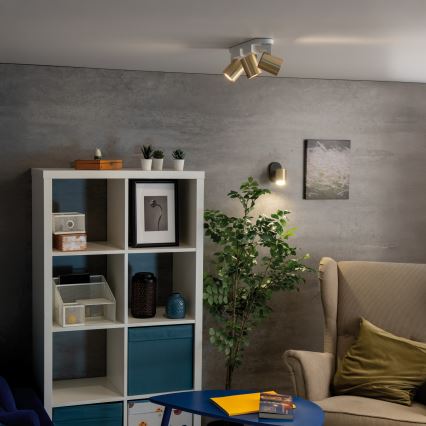 Nástěnné bodové svítidlo LAURIN 1xGU10/10W/230V mosaz/černá