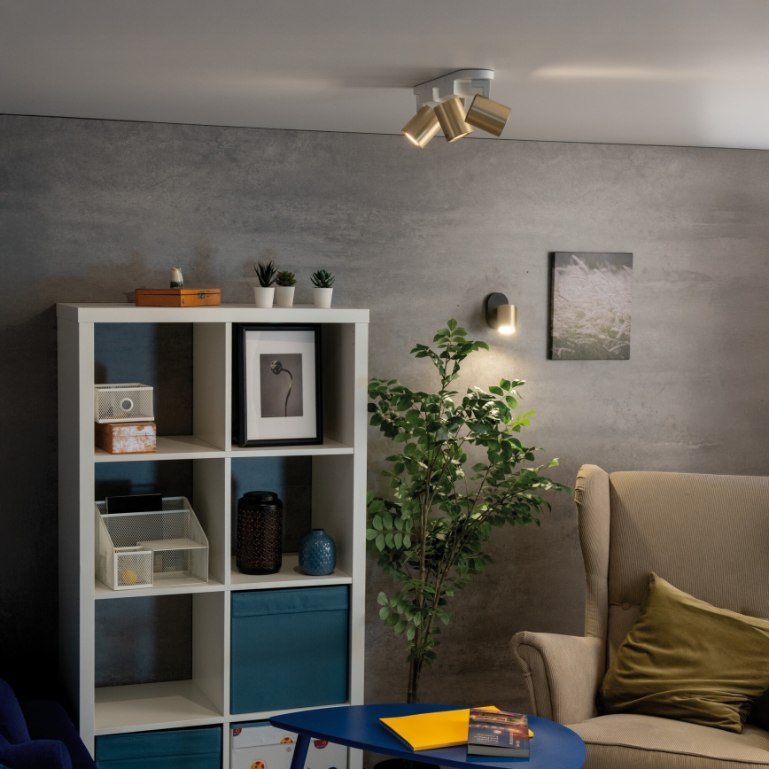 Nástěnné bodové svítidlo LAURIN 1xGU10/10W/230V mosaz/černá