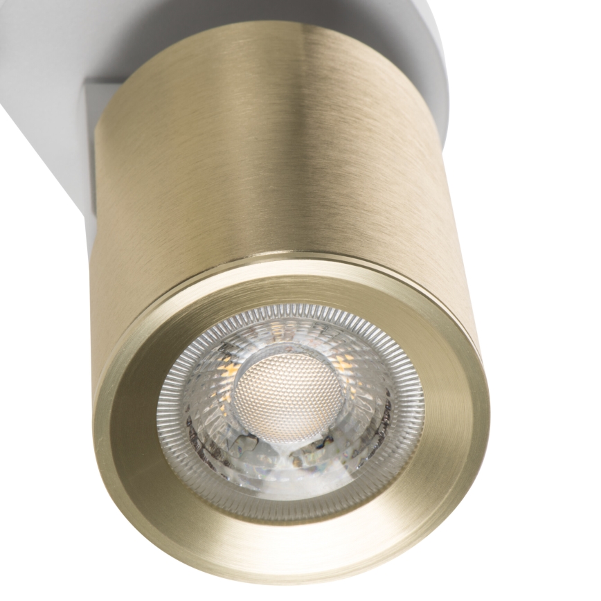 Nástěnné bodové svítidlo LAURIN 1xGU10/10W/230V mosaz/bílá