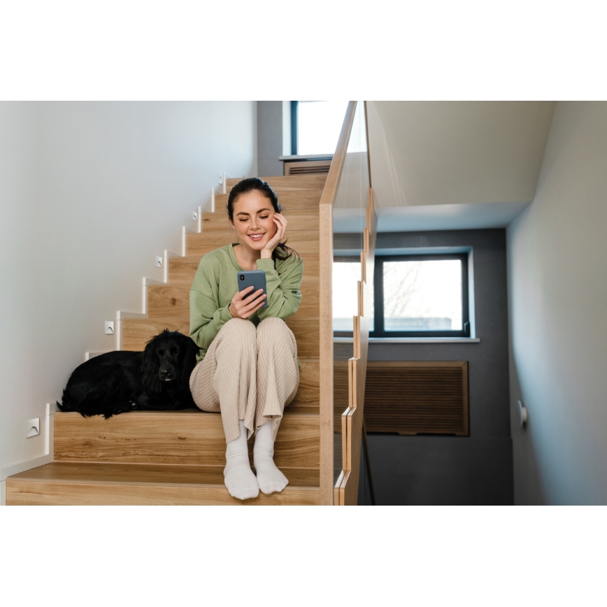 LED Schodišťové svítidlo EXIN LED/2,5W/230V 4000K IP65 bílá hranatý