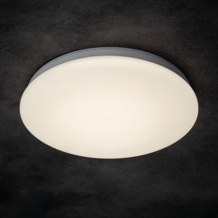 LED Koupelnové stropní svítidlo ENELO LED/10W/230V pr. 24 cm IP44