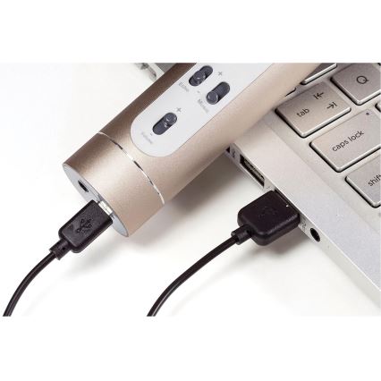 Karaoke mikrofon 6W/5V 1500 mAh Bluetooth zlatá