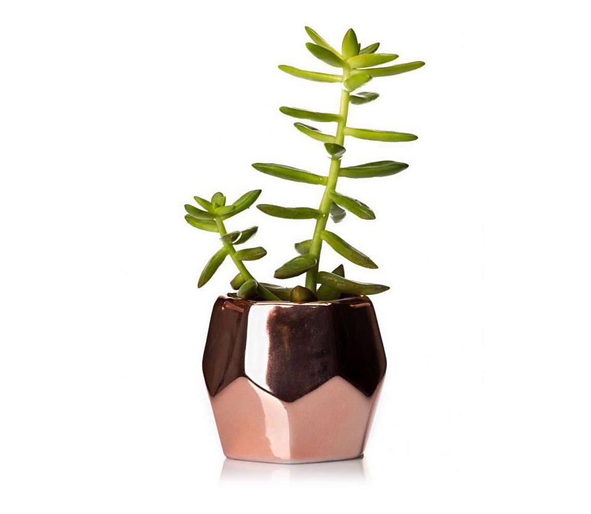  HowHomely Keramický květináč DORIS 8x9 cm rose gold DD0207