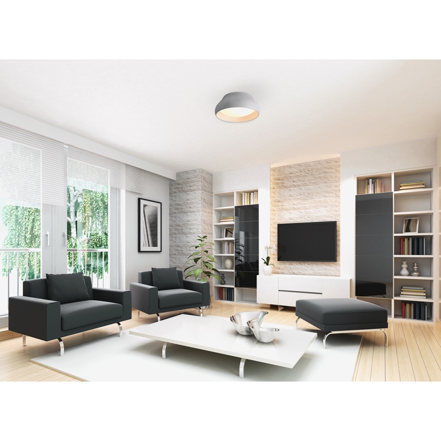 LED Stropní svítidlo PADDY LED/24W/230V bílá