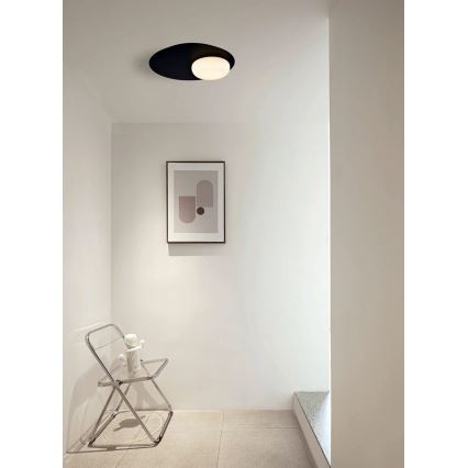 LED Stropní svítidlo PETIT LED/12W/230V černá