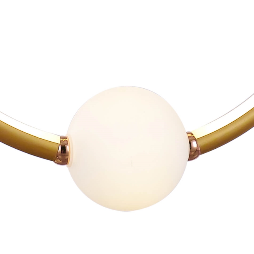 LED Stmívatelný lustr na lanku LIV LED/50W/230V zlatá + dálkové ovládání