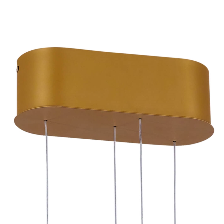 LED Stmívatelný lustr na lanku LIV LED/50W/230V zlatá + dálkové ovládání