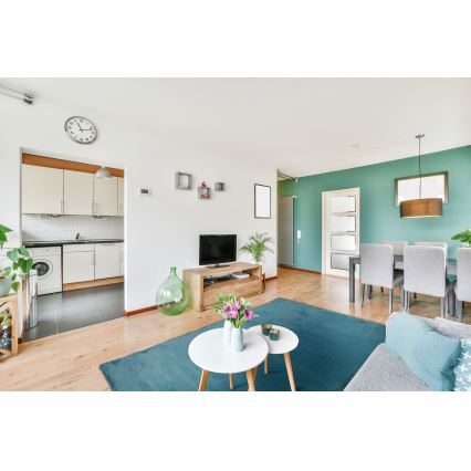 Koberec RABBIT-ROSA NEW 80x150 cm 2000g/m2 tyrkysová