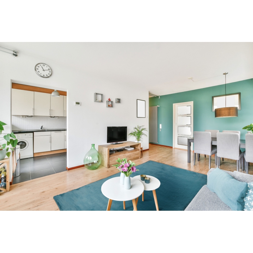 Koberec RABBIT-ROSA NEW 80x150 cm 2000g/m2 tyrkysová