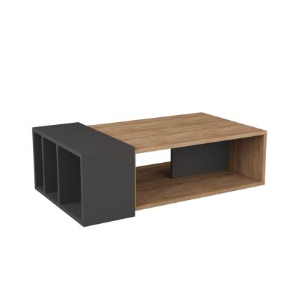 Konferenční stolek ANITA 32x102 cm hnědá/antracit