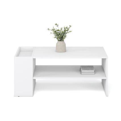 Konferenční stolek BELA 100x42 cm bílá