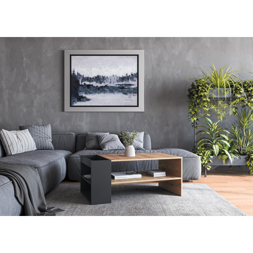 Konferenční stolek BELA 100x42 cm dub artisan/antracit