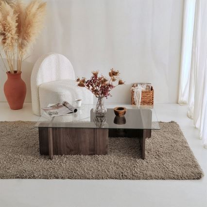 Konferenční stolek ESCAPE 105x65 cm hnědá/čirá