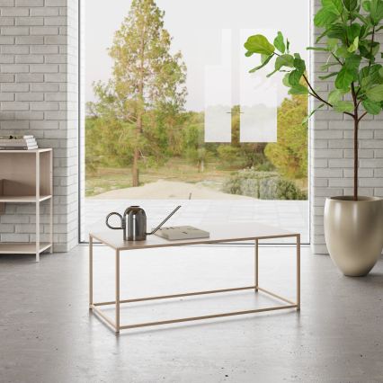 Konferenční stolek SARON 100x50 cm šedá