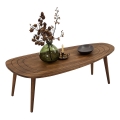 Konferenční stolek SISI 115x50 cm ořech