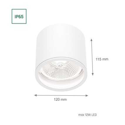 Koupelnové bodové svítidlo CHLOE AR111 1xGU10/12W/230V IP65 kulatý bílá