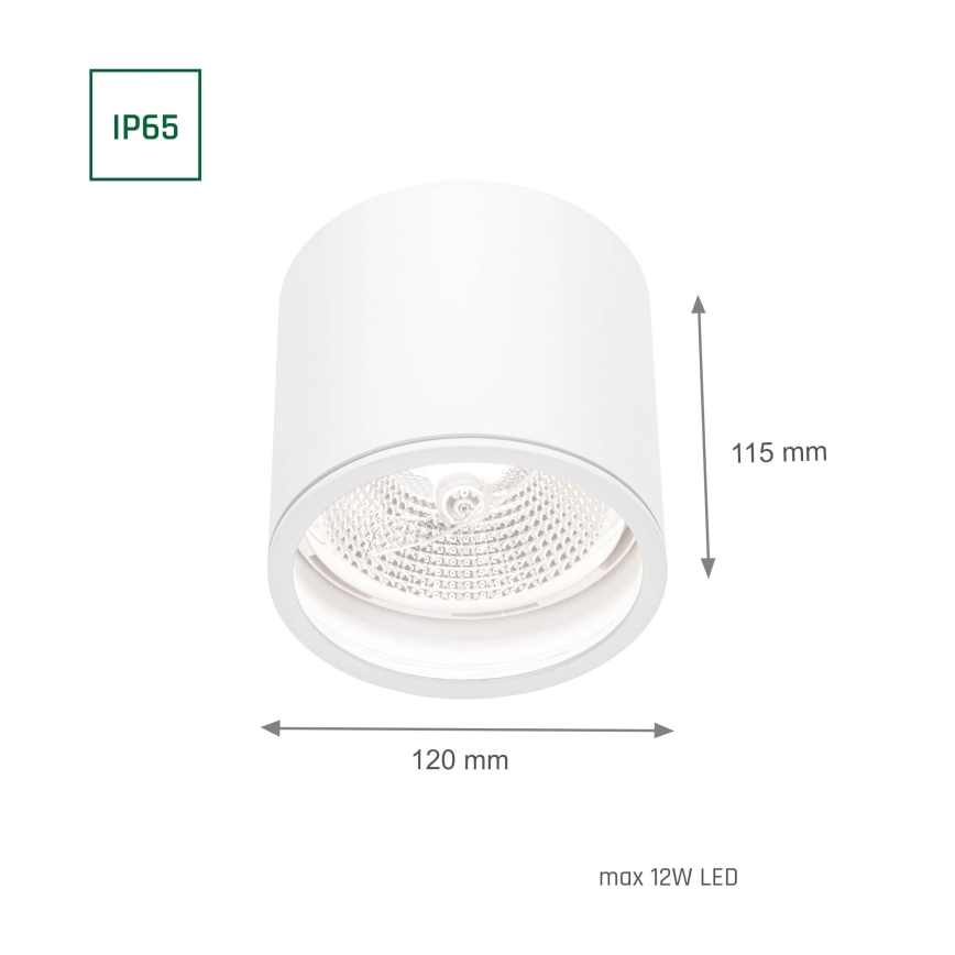 Koupelnové bodové svítidlo CHLOE AR111 1xGU10/12W/230V IP65 kulatý bílá