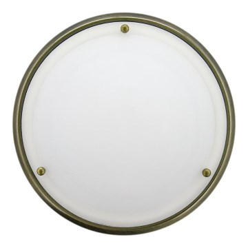 Koupelnové nástěnné stropní svítidlo NEPTUN 1xE27/60W/230V IP44