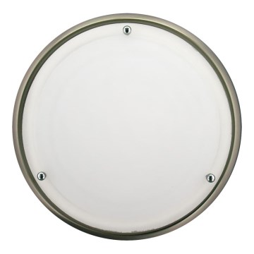 Koupelnové nástěnné stropní svítidlo NEPTUN  2xE27/60W/230Vmatný chrom IP44