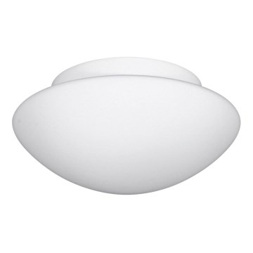 Koupelnové nástěnné stropní svítidlo SANTE 1xE27/60W/230V Koupelnové nástěnné stropní svítidlo SANTE 1xE27/60W/230V